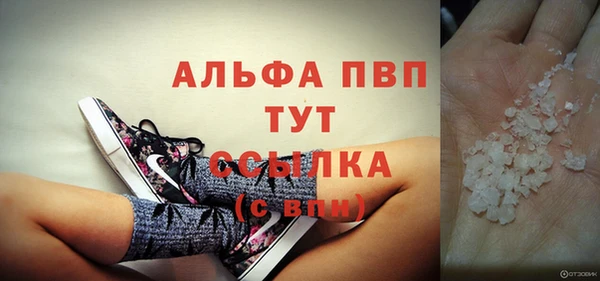 шишки Михайловск