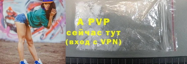 шишки Михайловск