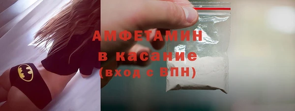 шишки Михайловск