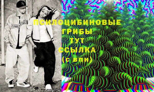 шишки Михайловск
