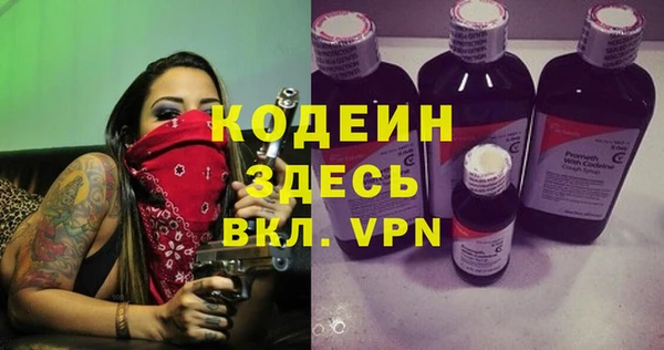 шишки Михайловск