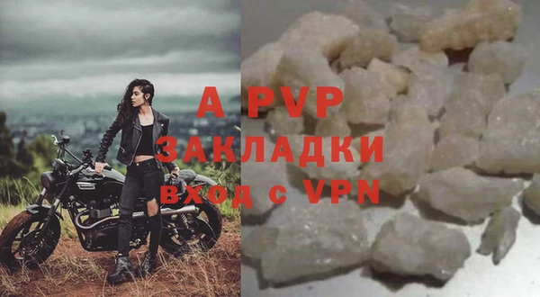 шишки Михайловск