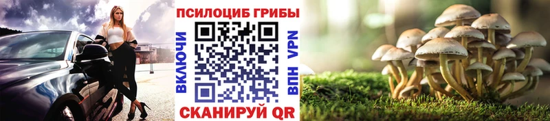 Псилоцибиновые грибы прущие грибы  Купить закладки  Красноуфимск 